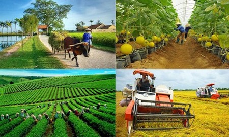 Nông nghiệp, nông thôn: Định hướng phát triển bền vững đến năm 2030 theo Nghị quyết 19-NQ/TW