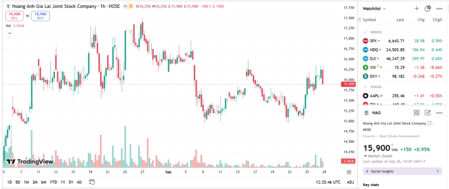 Sơ đồ giá cô phiếu HAG trên TradingView.