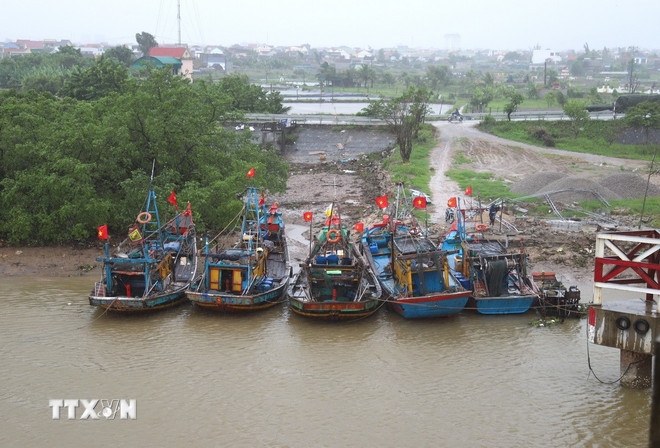 Tàu thuyền neo đậu tránh bão. Ảnh minh họa. Nguồn: TTXVN