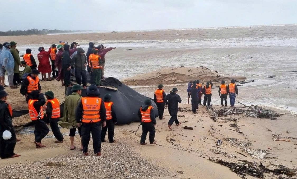 Lực lượng chức năng triển khai ứng cứu.&nbsp;