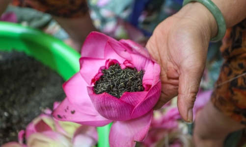 Khi đồ uống kết nối du khách với Hà Nội