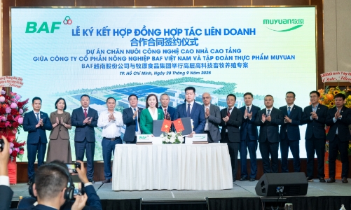 BAF và Muyuan cùng rót 12.000 tỷ xây dựng “chung cư nuôi heo” tại Việt Nam