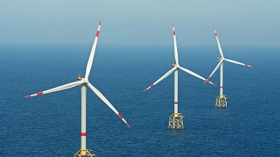 Investor proposes 4 offshore wind orojects for Hai Phong