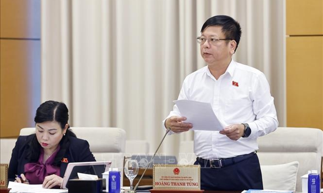 Phó Chủ nhiệm Ủy ban Pháp luật và Tư pháp của Quốc hội Nguyễn Trường Giang phát biểu. Ảnh: TTXVN.