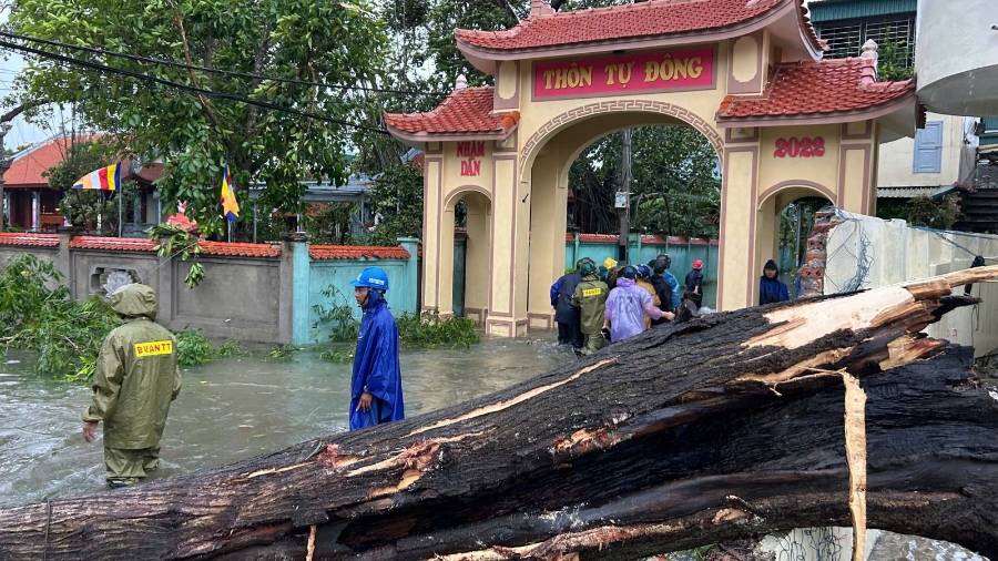 Tại xã Hoằng Phú, hàng chục ngôi nhà bị tốc mái, sập tường; nhiều cây xanh, cột điện gãy đổ chắn đường ray, gây ách tắc đường sắt và mất điện diện rộng. 