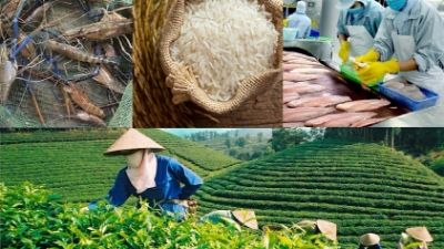 Industry and trade minister to hold direct talks with farmers on October 1
