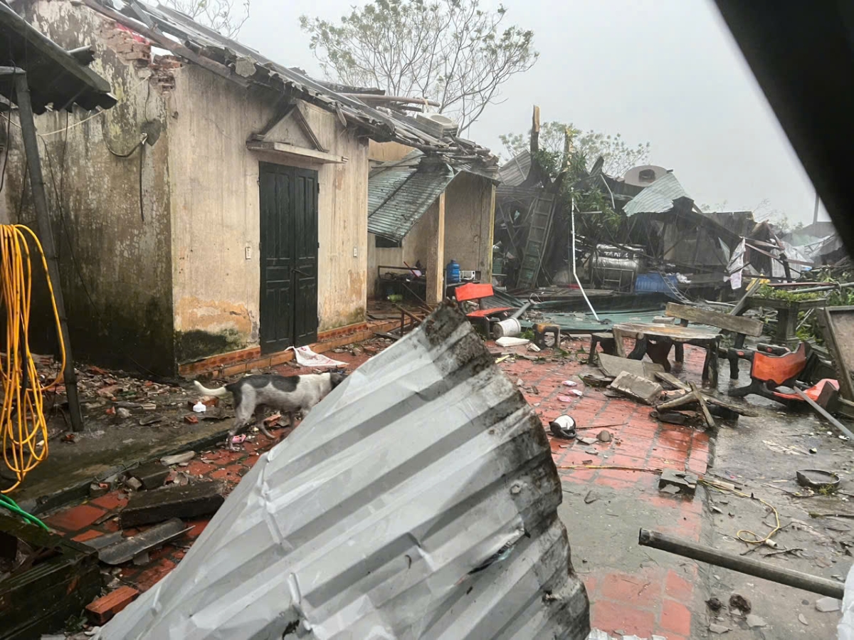 &nbsp;Bão số 10 đổ bộ gây mưa to, gió lớn tại nhiều địa bàn, khiến hàng loạt ngôi nhà bị hư hỏng, tốc mái, thậm chí sập đổ