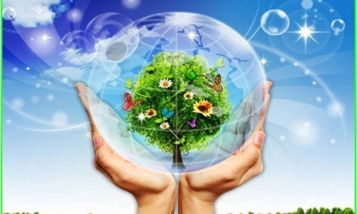 Nỗ lực bảo vệ “lá chắn” Trái đất, thực hiện mục tiêu chuyển đổi xanh