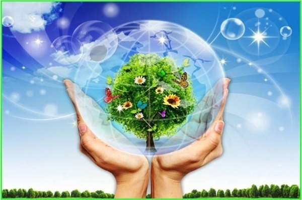 Tính đến tháng 8/2025, Việt Nam đã loại trừ khoảng 240 triệu tấn CO2 tương đương từ các hoạt động quản lý, loại trừ các chất được kiểm soát theo Nghị định thư Montreal.