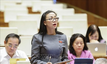 Dự án Luật Thương mại điện tử: Cần ràng buộc trách nhiệm pháp lý của sàn thương mại điện tử