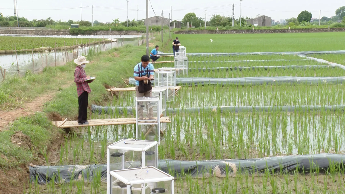 Mục tiêu đến năm 2035, trồng trọt phải góp phần cắt giảm ít nhất 15% lượng phát thải khí nhà kính.