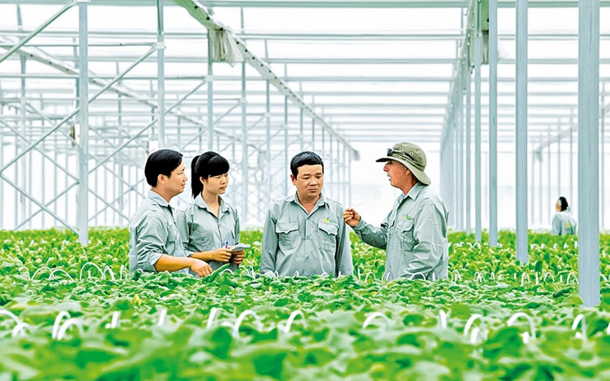 Mục tiêu năm 2050, nhãn hiệu “Phát thải thấp” phổ cập trên các ngành hàng chủ lực, giúp Việt Nam trở thành quốc gia tiên phong trong khu vực về nông sản gắn trách nhiệm khí hậu.