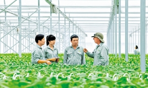 Sẽ xây dựng và ban hành nhãn hiệu “phát thải thấp” cho các sản phẩm trồng trọt