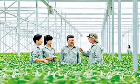 Sẽ xây dựng và ban hành nhãn hiệu “phát thải thấp” cho các sản phẩm trồng trọt