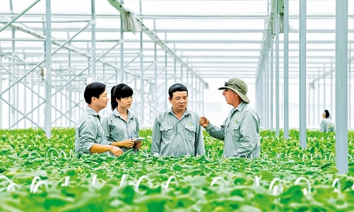 Sẽ xây dựng và ban hành nhãn hiệu “phát thải thấp” cho các sản phẩm trồng trọt