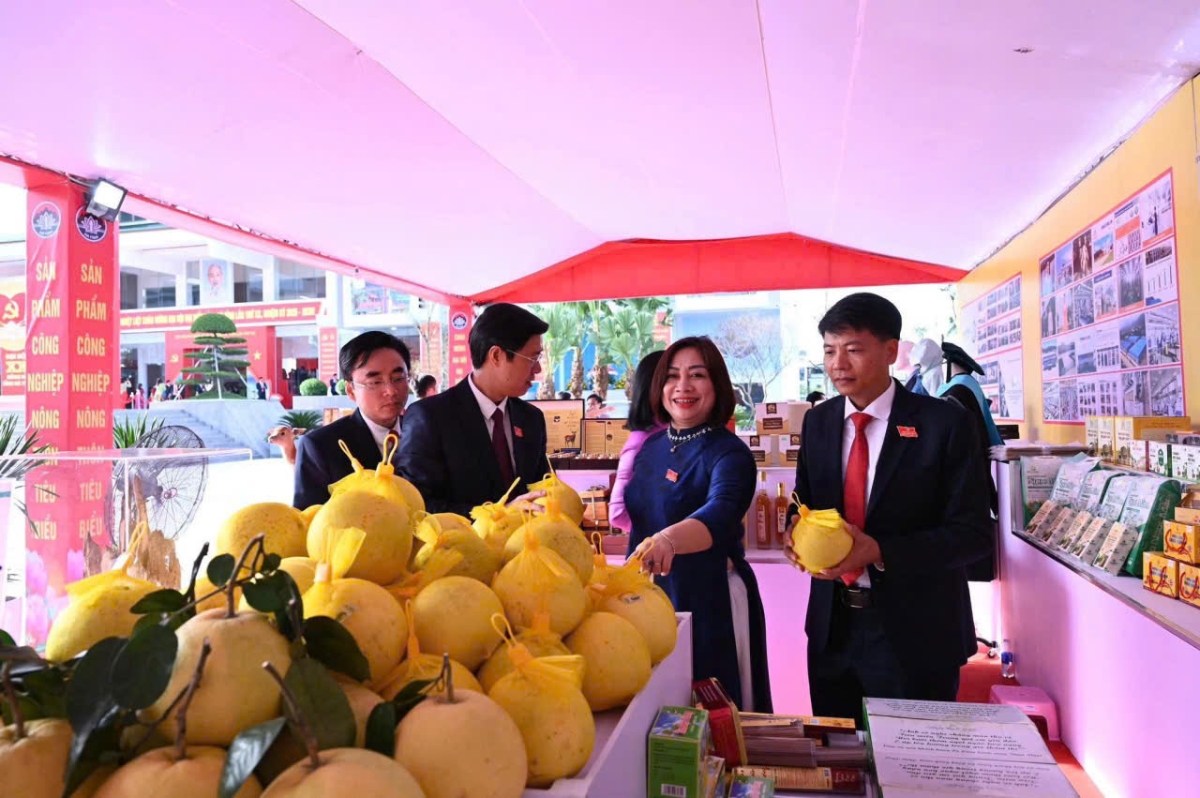 Gian hàng trưng bày sản phẩm OCOP, sản phẩm công nghiệp nông thôn tiêu biểu của tỉnh Hà Tĩnh