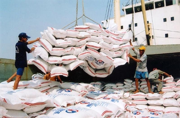 Vietnam intensifies efforts to boost rice exports, stabilize prices