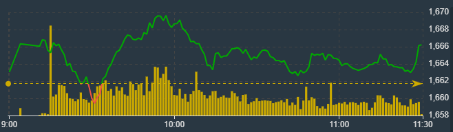 Diễn biến chỉ số VN-Index sáng nay.