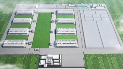 BAF and Muyuan invest $455 mln in pig raising in Vietnam