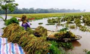Phú Thọ báo động trên nhiều tuyến sông, vận hành hàng loạt trạm bơm ứng phó lũ lụt