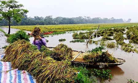 Phú Thọ báo động trên nhiều tuyến sông, vận hành hàng loạt trạm bơm ứng phó lũ lụt