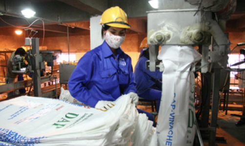 Dự báo giá phân bón đảo chiều giảm trong năm 2026