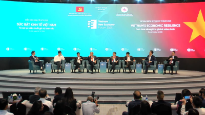 Solutions proposed for enhancing the economy's internal strengths