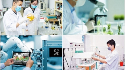 How to build a R&D strategy?