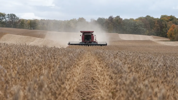 Tổng thống Trump sẽ sớm xử lý vấn đề đậu tương với Trung Quốc