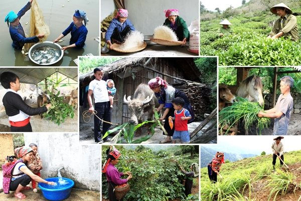 Các chỉ số về bảo vệ môi trường đã đóng góp quan trọng đưa chỉ số phát triển bền vững của Việt Nam lên vị thế hàng đầu ở khu vực với vị trí 54/166 quốc gia và vùng lãnh thổ (năm 2024), tăng 34 bậc so với năm 2016, xếp thứ hai trong ASEAN, chỉ sau Thái Lan.