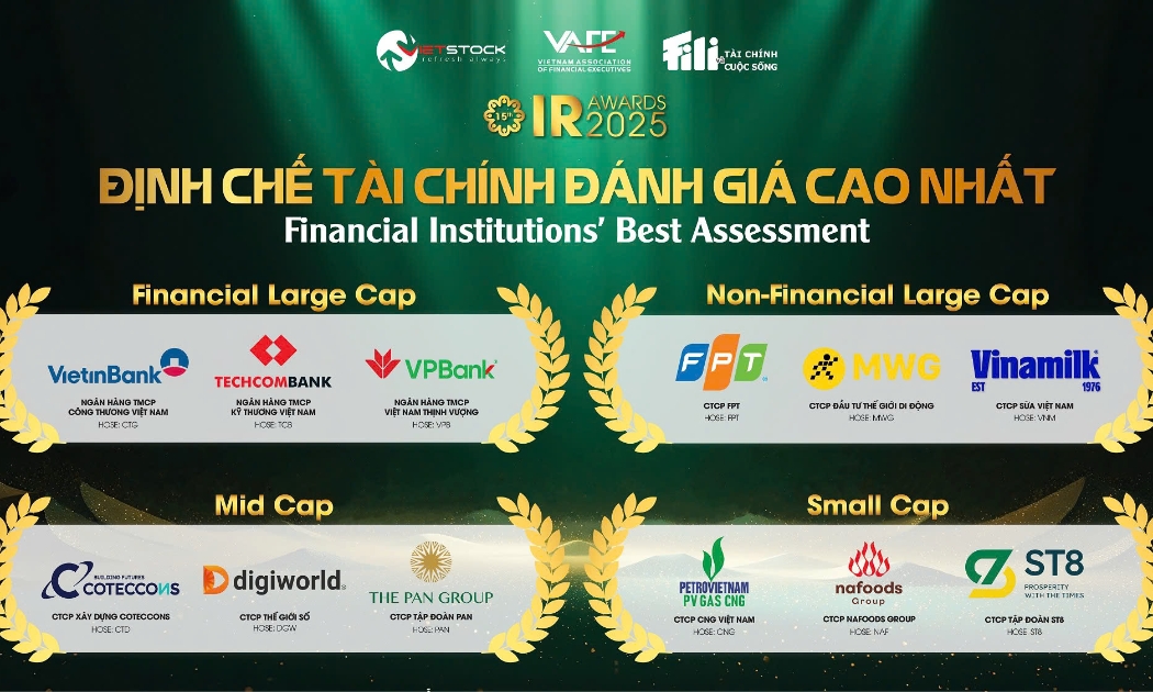 FPT: Top 3 doanh nghiệp có hoạt động IR được Định chế tài chính đánh giá cao nhất. 