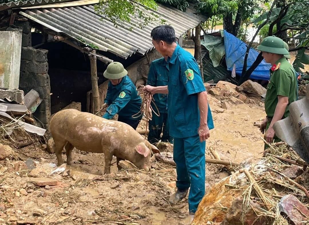 Người dân nơi đây mong sớm được hỗ trợ để tái thiết lại cuộc sống