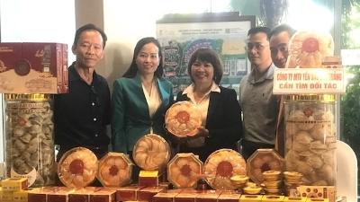 Da Nang hosts 2025 Trade Promotion and Export conference