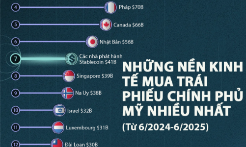 Những nơi mua trái phiếu chính phủ nhiều nhất trong năm qua, stablecoin cũng có mặt