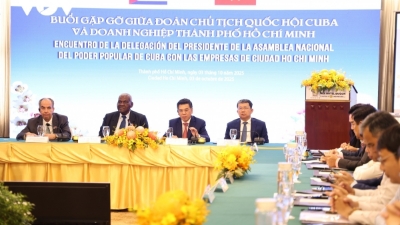 Cuba pledges to facilitate Vietnamese investment