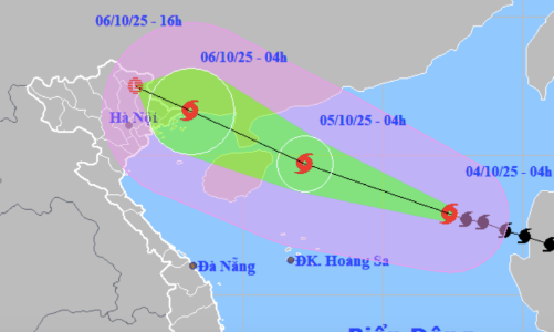Thủ tướng yêu cầu khẩn trương ứng phó bão số 11 