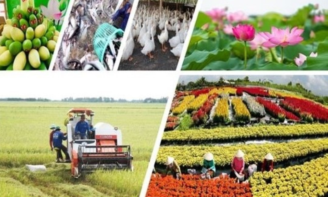 Sản xuất nông nghiệp tiếp tục tăng trưởng ổn định.