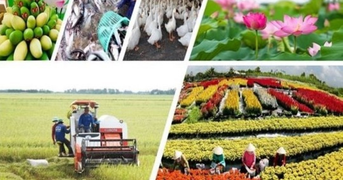 Sản xuất nông nghiệp vượt qua thiên tai, duy trì sản lượng