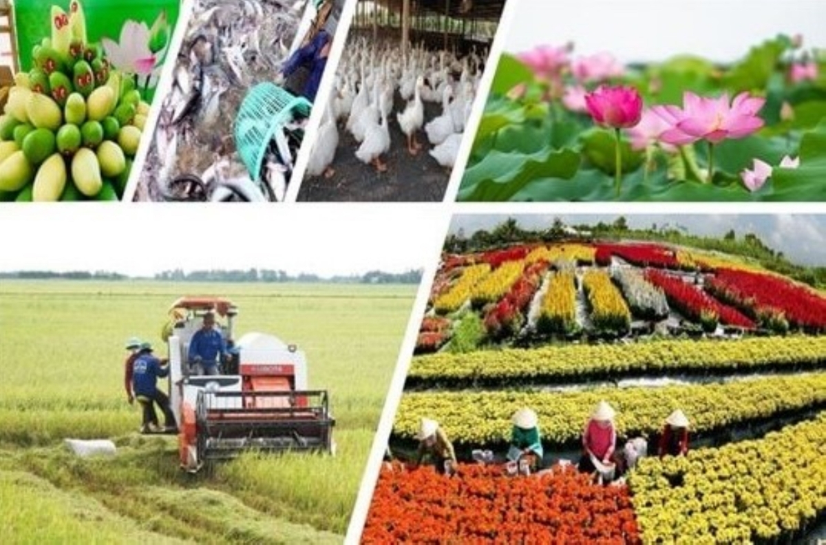 Sản xuất nông nghiệp tiếp tục tăng trưởng ổn định.