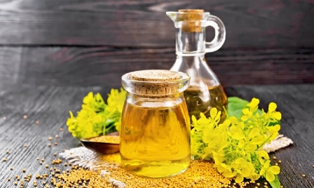  Xây dựng Quy chuẩn cho dầu thực vật: Ưu tiên sức khỏe người dân