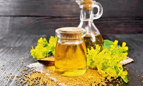  Xây dựng Quy chuẩn cho dầu thực vật: Ưu tiên sức khỏe người dân