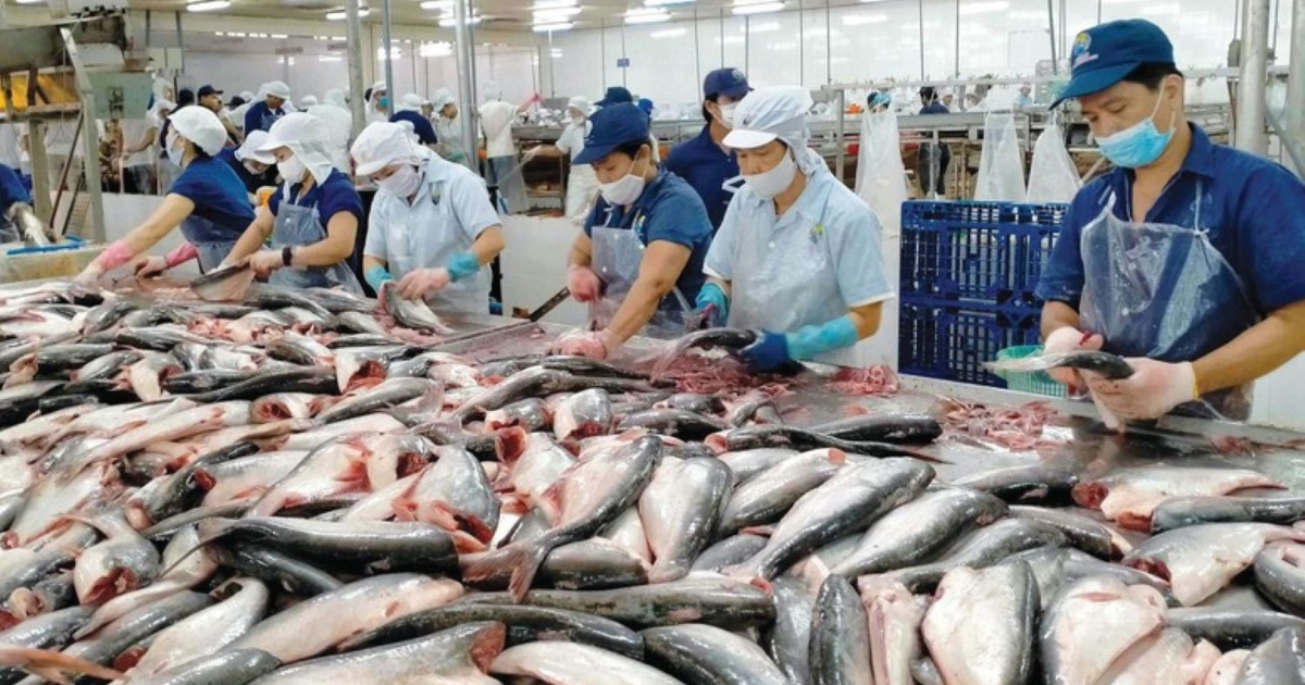 Xuất khẩu thuỷ sản bứt phá ấn tượng, chủ động thích ứng trước rào cản mới