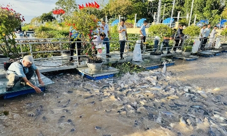 Thúc đẩy chuyển đổi nông nghiệp sinh thái tại Đồng bằng sông Cửu Long