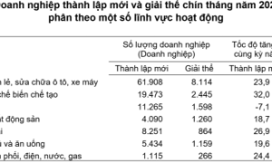9 tháng năm 2025: Hơn 231 nghìn doanh nghiệp gia nhập và tái gia nhập thị trường