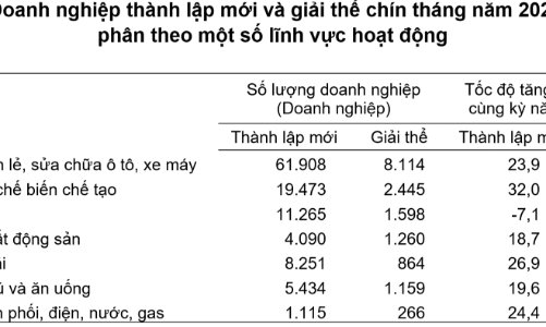 9 tháng năm 2025: Hơn 231 nghìn doanh nghiệp gia nhập và tái gia nhập thị trường