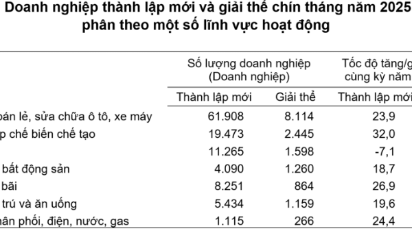 9 tháng năm 2025: Hơn 231 nghìn doanh nghiệp gia nhập và tái gia nhập thị trường