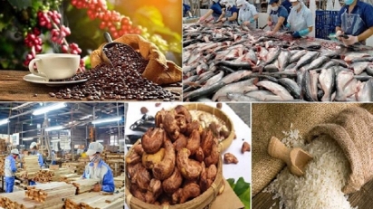 Vietnam’s agro-forestry-fisheries exports earn $52.3bln in 9M