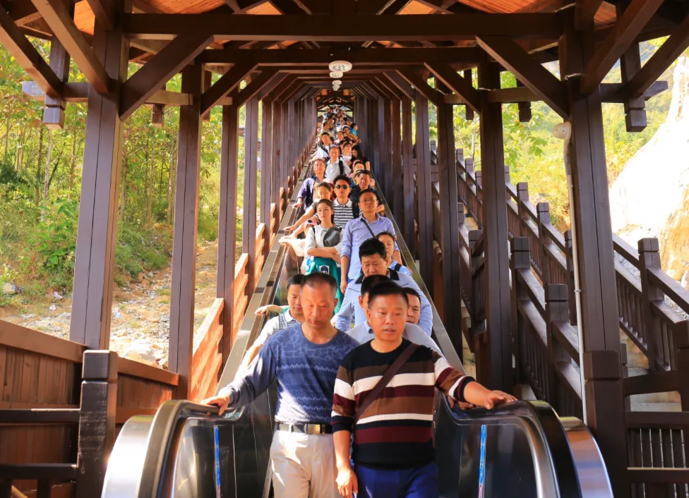 Giới trẻ Trung Quốc dùng thang máy hoặc thang cuốn để 