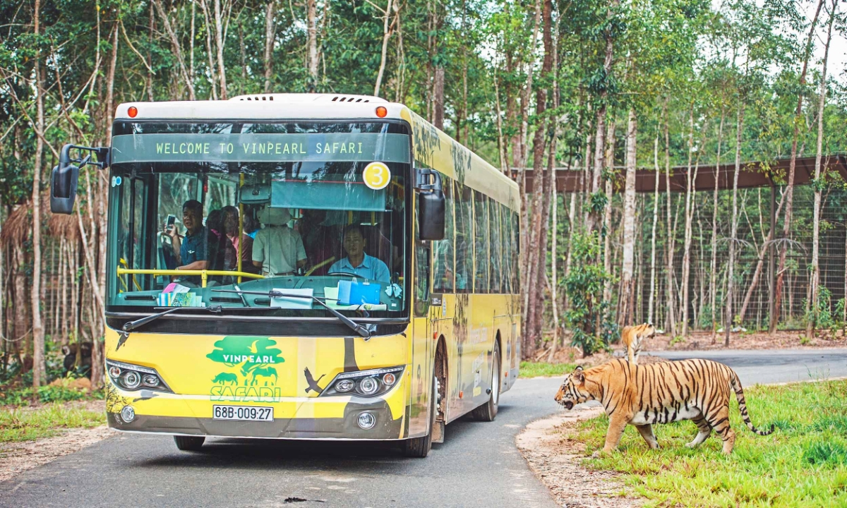 Không dừng lại ở việc mở rộng thị trường khách, Phú Quốc còn đang phát triển du lịch xanh.&nbsp;