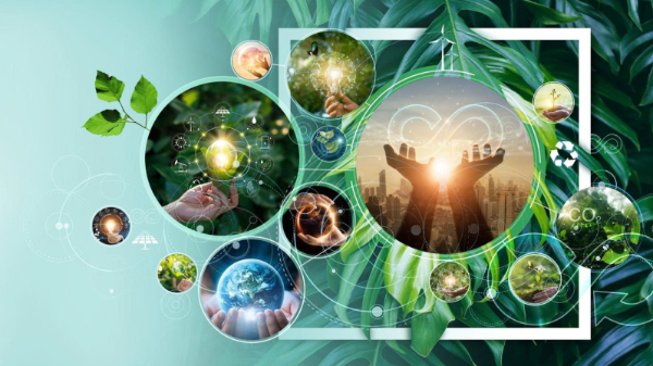 TP. Hồ Chí Minh triển khai đồng bộ các nhiệm vụ thúc đẩy chuyển đổi xanh